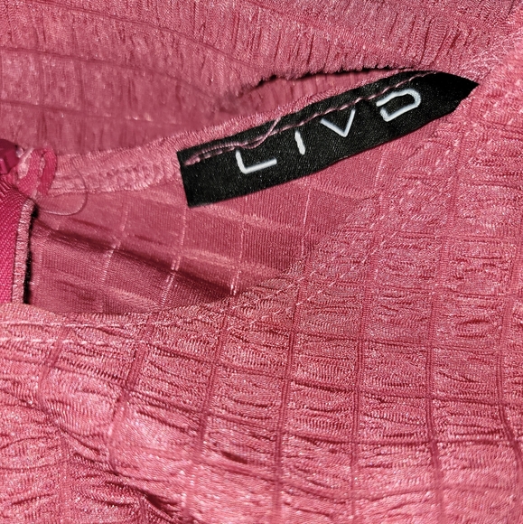 NEW NWOT LIVD Apparel Plus Size Kylo Textured Bodycon Dress Color Rose - Picture 6 of 6